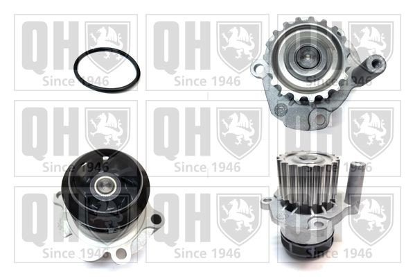 QUINTON HAZELL QCP3621: Pompa apa