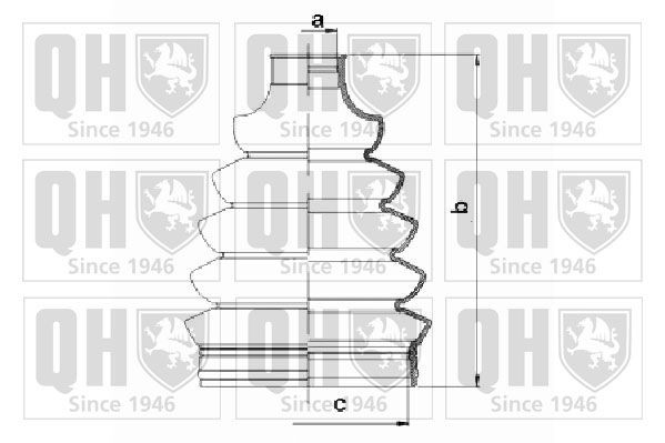QUINTON HAZELL QJB1069: Ansamblu burduf, articulatie planetara Thermoplast
