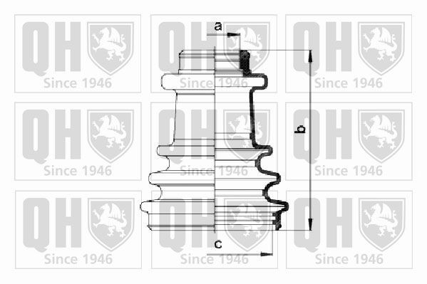 QUINTON HAZELL QJB110: Ansamblu burduf, articulatie planetara cauciuc