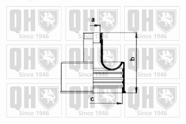 QUINTON HAZELL QJB147: Ansamblu burduf, articulatie planetara cauciuc