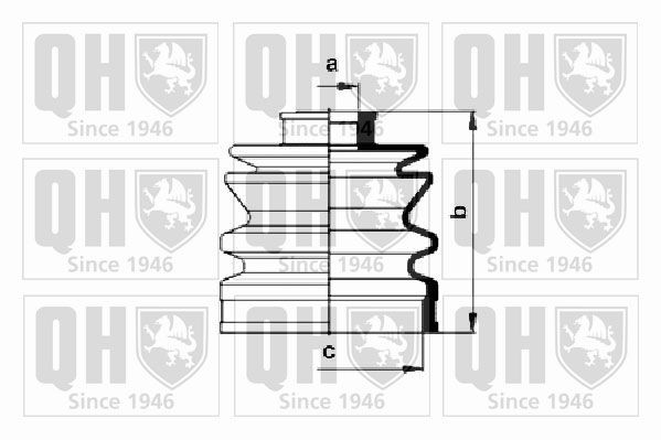 QUINTON HAZELL QJB151: Ansamblu burduf, articulatie planetara cauciuc