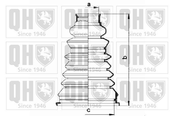 QUINTON HAZELL QJB2548: Ansamblu burduf, articulatie planetara Thermoplast