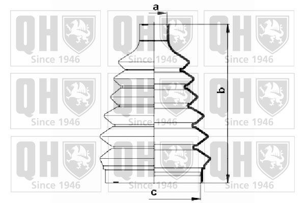 QUINTON HAZELL QJB261: Ansamblu burduf, articulatie planetara Thermoplast