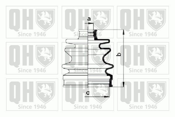 QUINTON HAZELL QJB921: Ansamblu burduf, articulatie planetara cauciuc