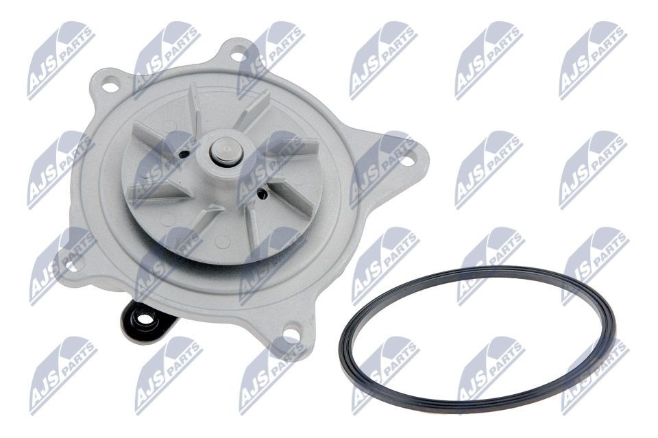 NTY CPW-CH-002: Pompa acqua con guarnizione