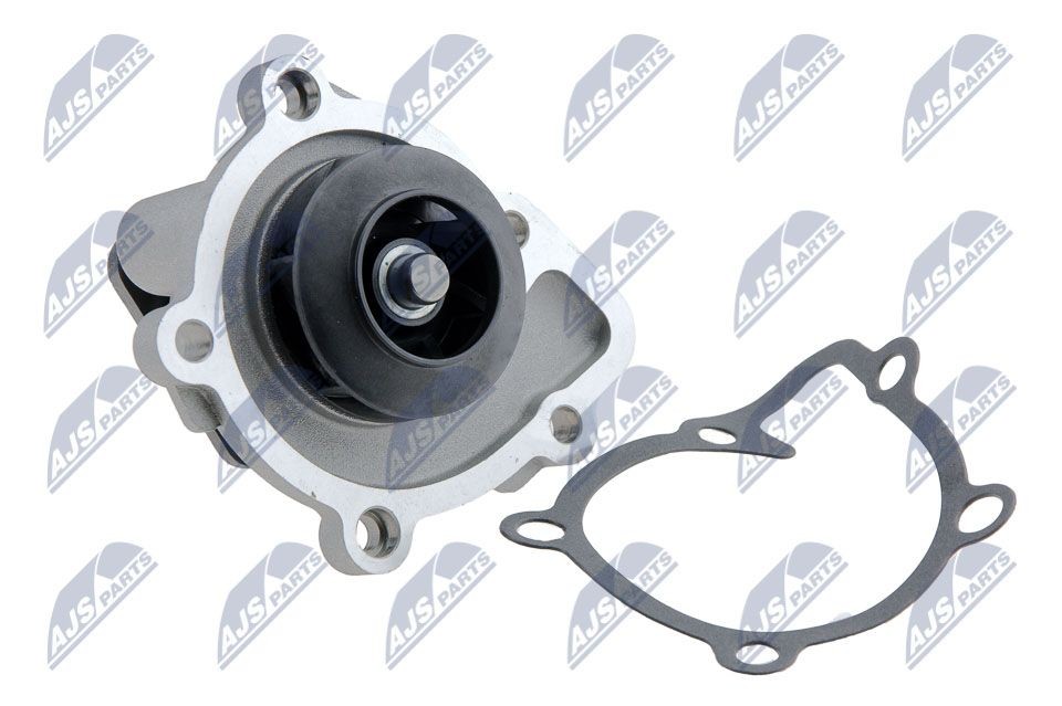NTY CPW-CH-011: Veepump