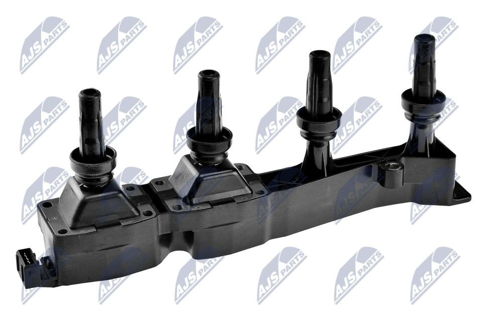 NTY ECZ-CT-005: Uždegimo ritė