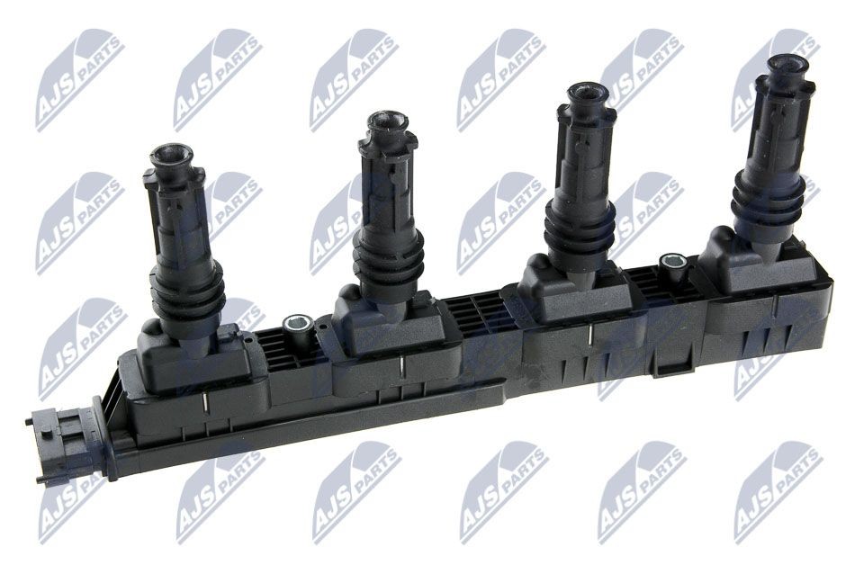 NTY ECZ-PL-003: Uždegimo ritė