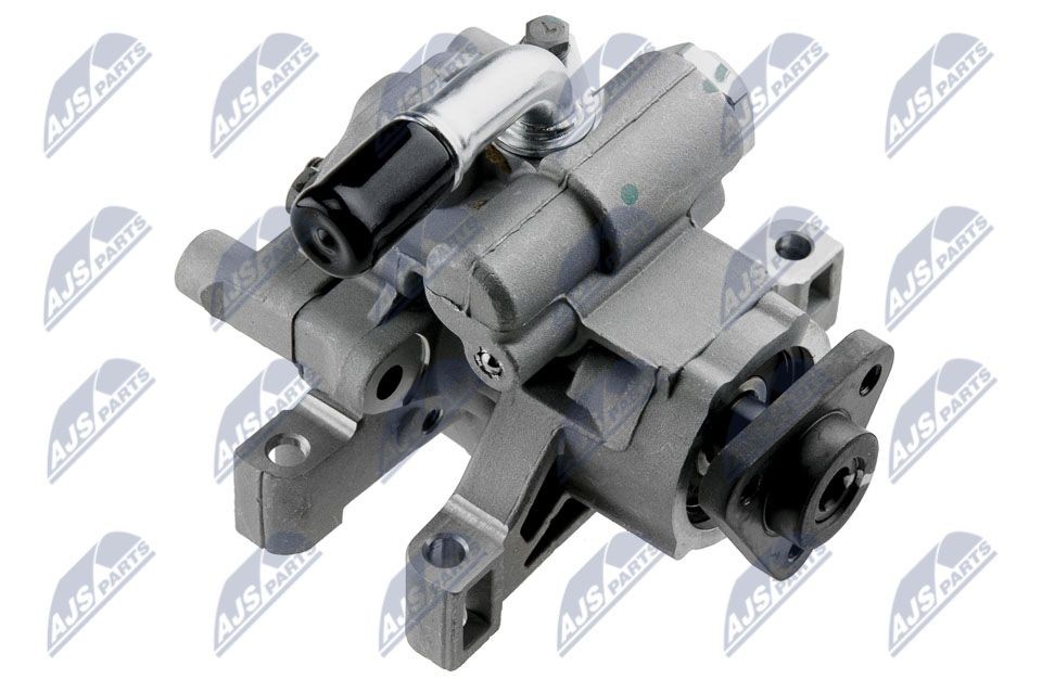 NTY SPW-CT-017 Servopumpe