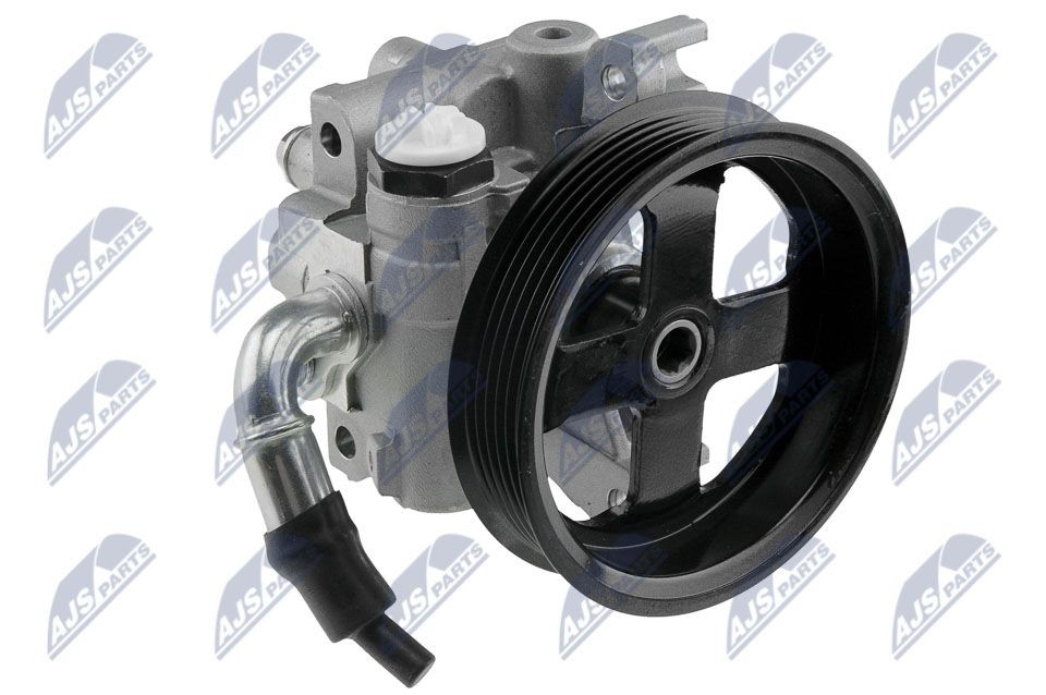 NTY SPW-FR-006: Roolivõimu pump