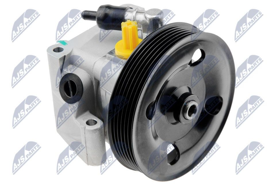 NTY SPW-FR-012: Roolivõimu pump