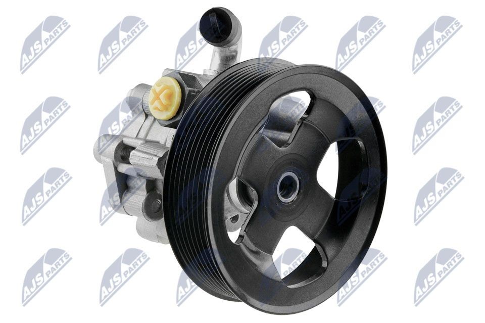 NTY SPW-LR-007: Roolivõimu pump