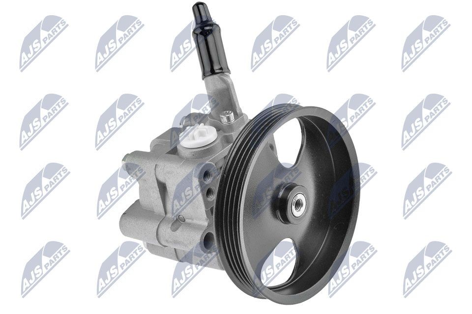 NTY SPW-NS-001: Pompe de direction assistée