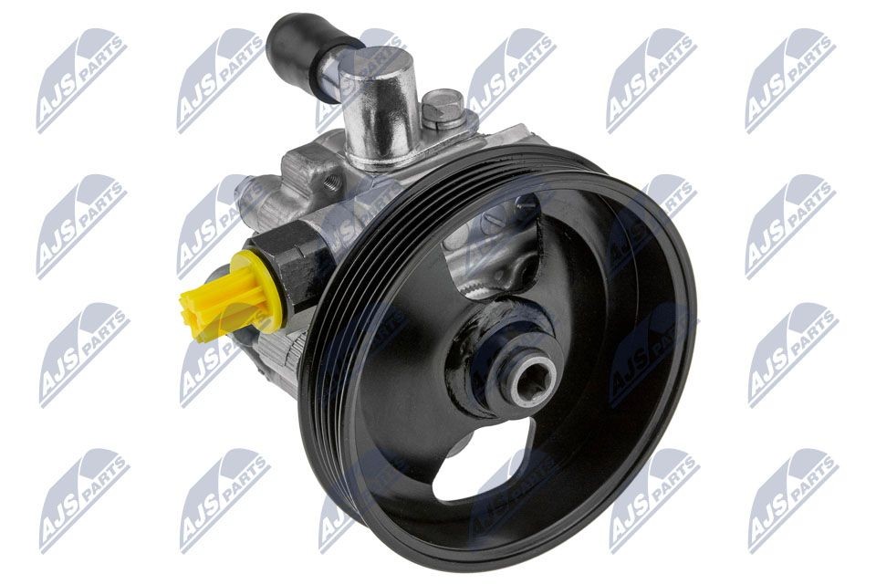 NTY SPW-TY-002: Roolivõimu pump