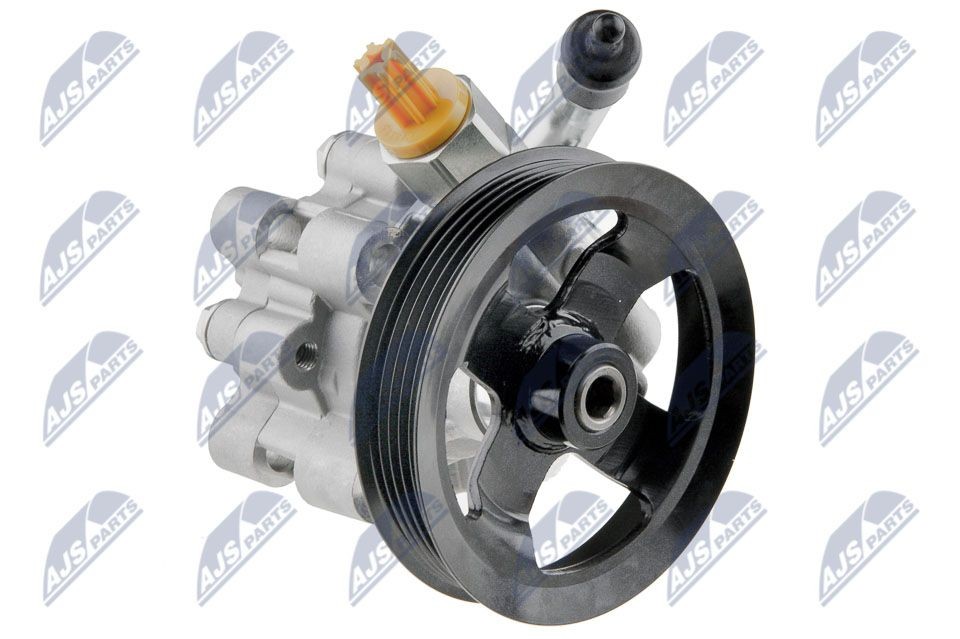 NTY SPW-TY-006: Roolivõimu pump