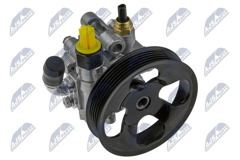 NTY SPW-TY-009: Roolivõimu pump