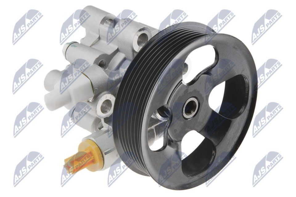 NTY SPW-TY-010: Roolivõimu pump