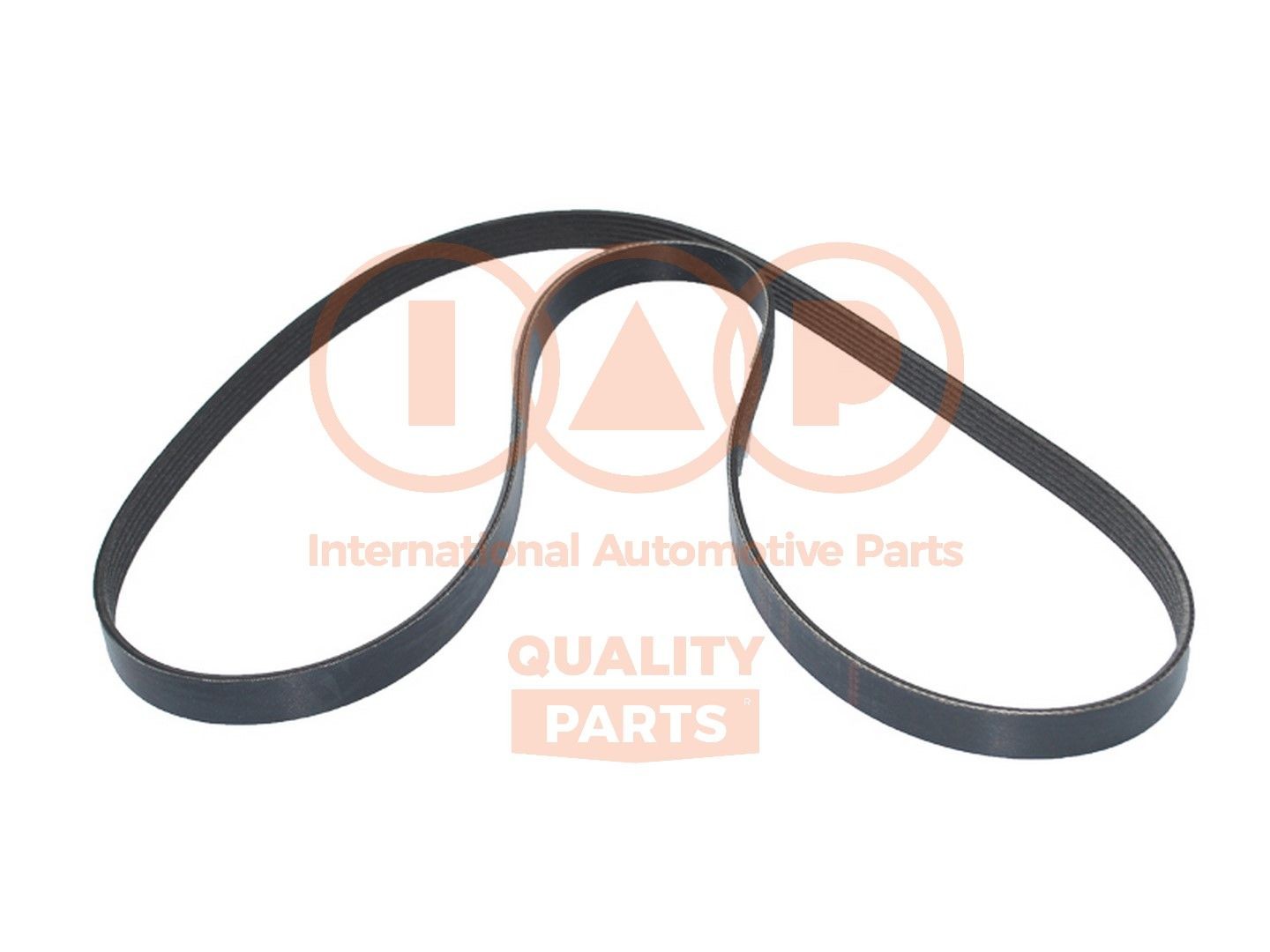 IAP QUALITY PARTS 140-13160: Multireim 1795mm, Ribbeantall: 6