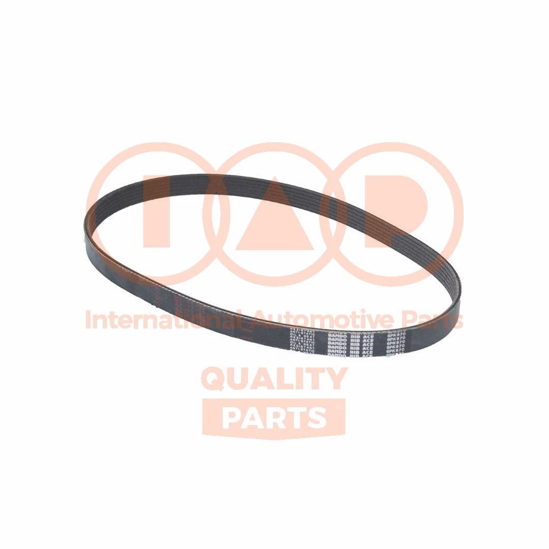 IAP QUALITY PARTS 140-17100: Multireim 870mm, Ribbeantall: 6