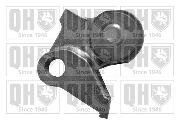 QUINTON HAZELL QTT1051: Mecanism tensionare, curea distributie