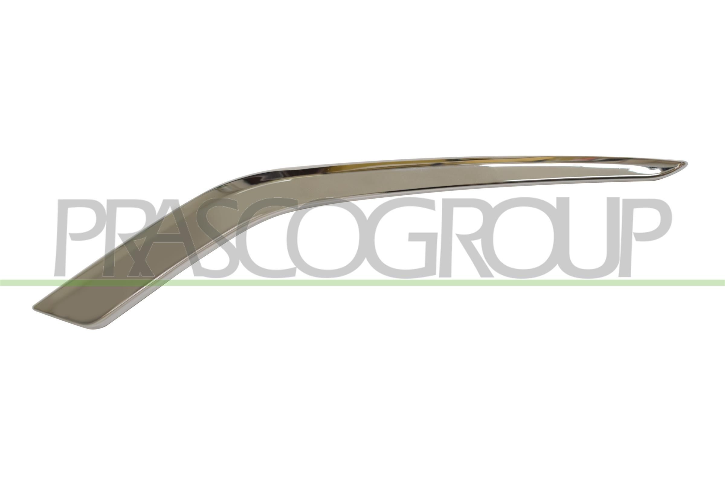 PRASCO PG3281244: Baguette et bande protectrice, grille de radiateur gauche