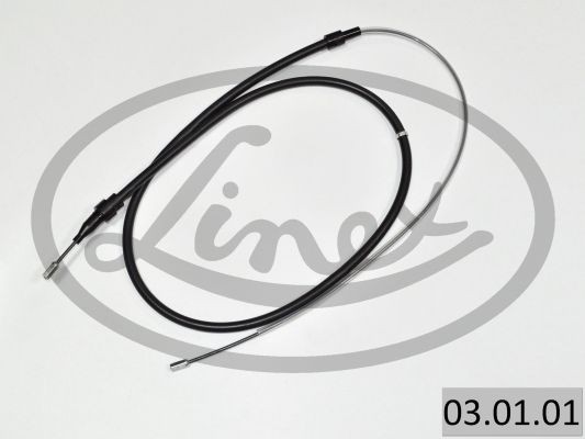 LINEX 03.01.01: Tross, pidur