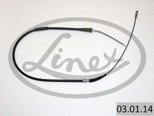 LINEX 03.01.13: Tross, pidur