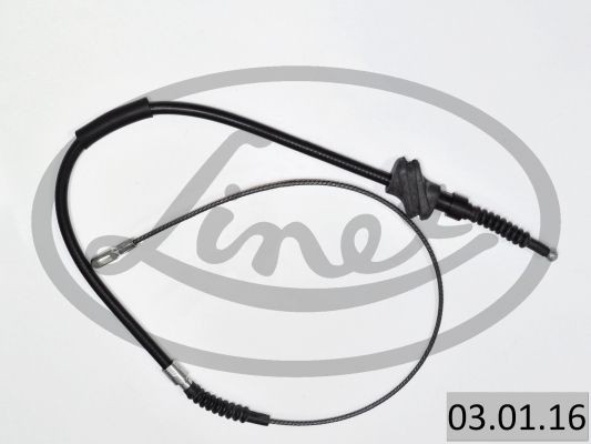 LINEX 03.01.16: Tross, pidur