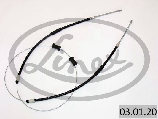LINEX 03.01.20: Tross, pidur
