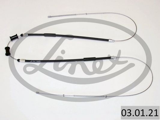 LINEX 03.01.21: Tross, pidur