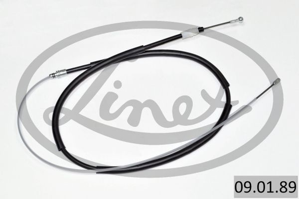 LINEX 09.01.89: Tross, pidur