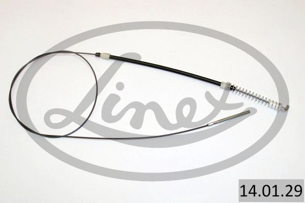 LINEX 14.01.26: Tross, pidur