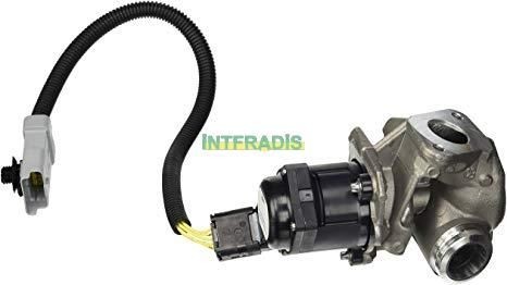 INTFRADIS 2561: Valvola EGR con guarnizione