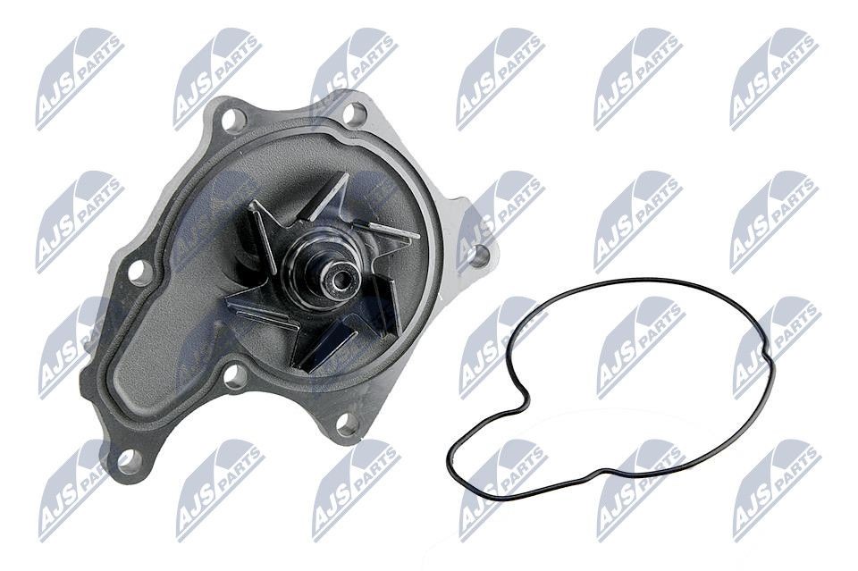 NTY CPW-IS-007: Veepump