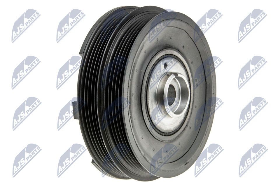 NTY RKP-LR-000: Polia, cambota