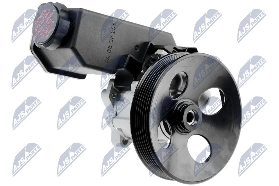 NTY SPW-PL-008: Roolivõimu pump koos anumaga