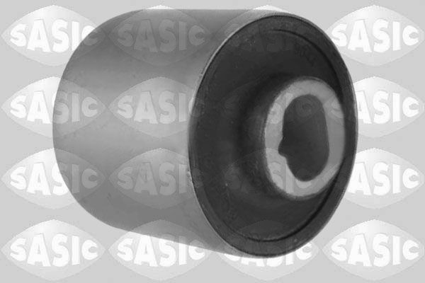 SASIC 2256151: Puks Esisild, taga, all