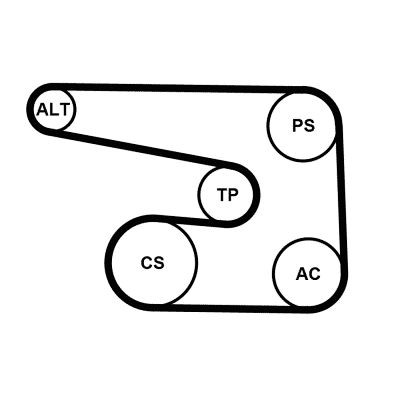 CONTITECH 6PK1873K5: Poly V-riem set