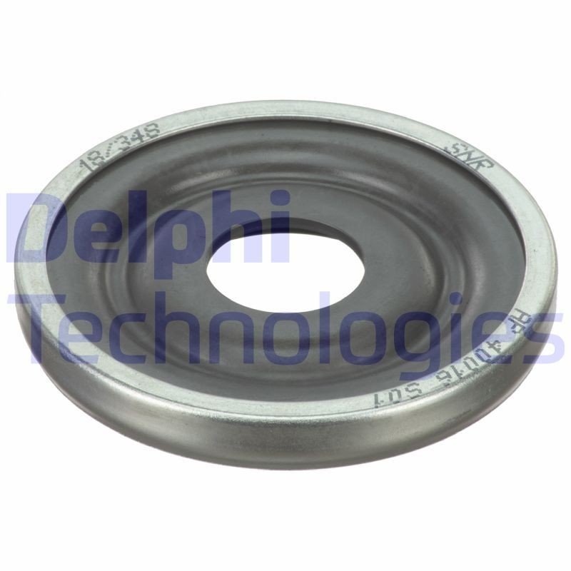 DELPHI BSJ30011: Laager, amorditugilaager