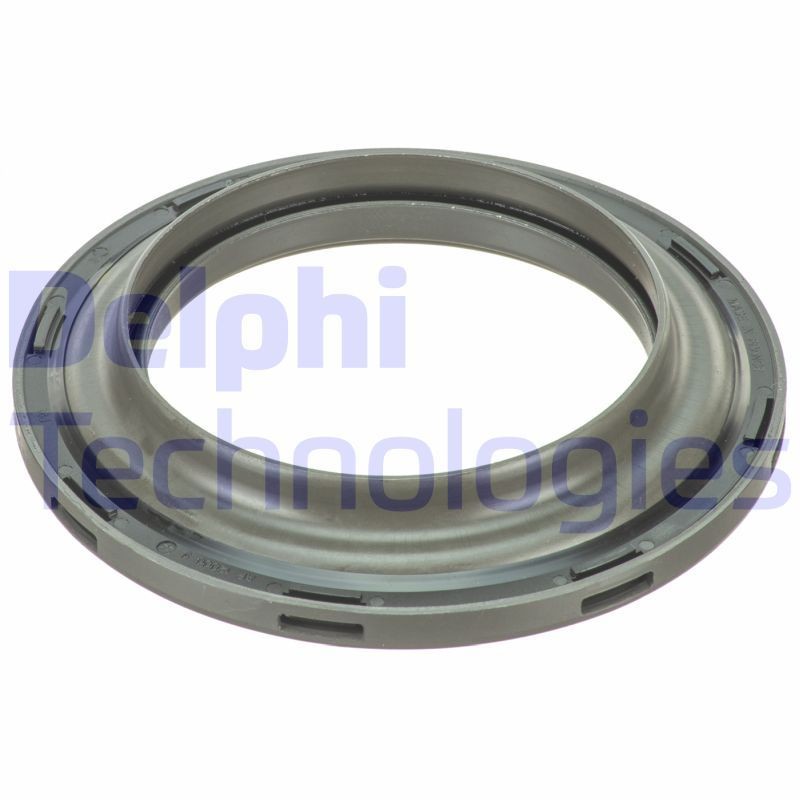 DELPHI BSJ30020: Laager, amorditugilaager