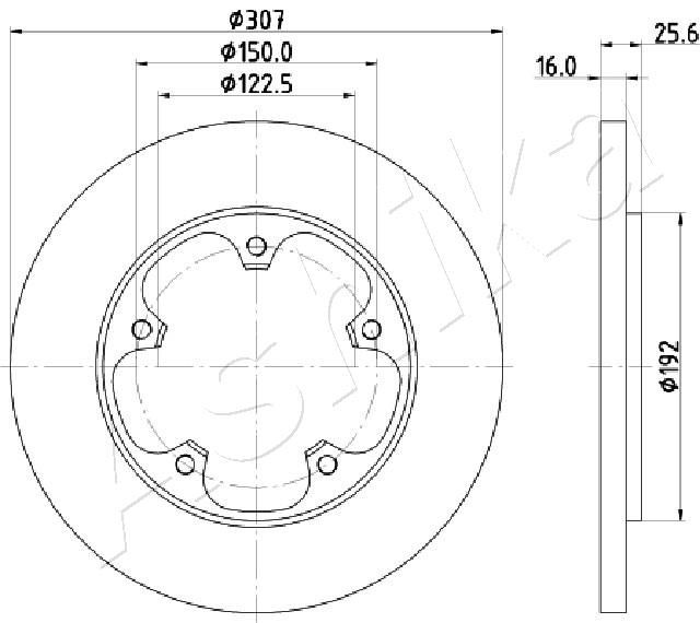 ASHIKA 61-00-0313: Disc de frână puntea spate, Ř: 308mm, plin, Ř: 308mm