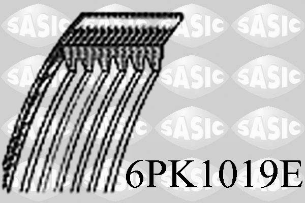 SASIC 6PK1019E: Curea transmisie cu caneluri 1019mm, Numar nervuri: 6