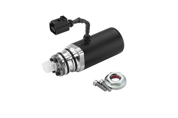 BorgWarner DS118589: Pompă, cuplare cu lamele tracţiune integrală Gen III