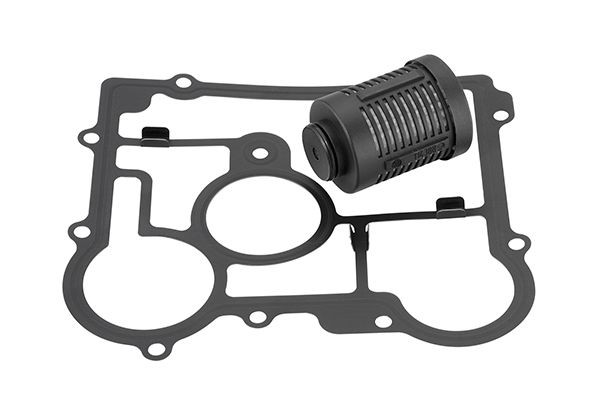BorgWarner DS2006273: Karbamiid Gen IV