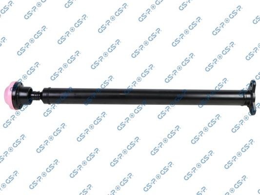 GSP PS900338: Kardaan, sillaajam