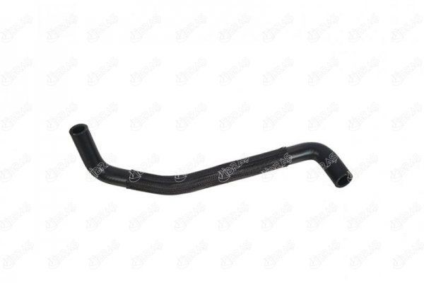 IBRAS 17625: Furtun radiator