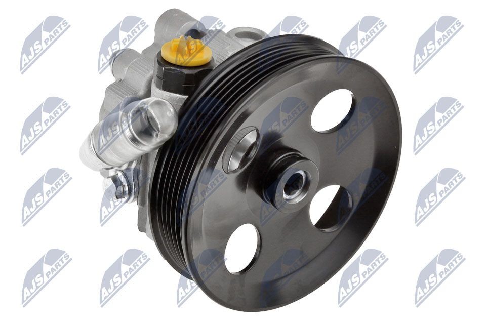 NTY SPW-CH-040: Roolivõimu pump