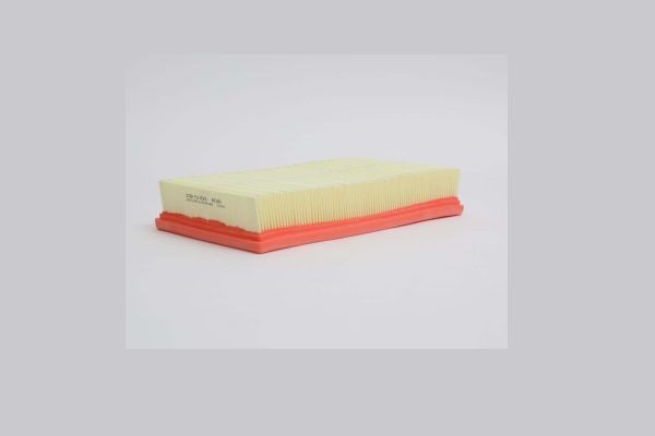 STEP FILTERS AE180: Filtro aria