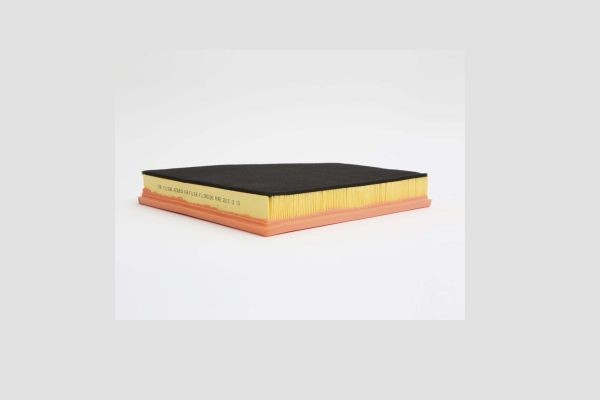 STEP FILTERS AE36638: Gaisa filtrs