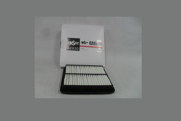 STEP FILTERS AE620: Õhufilter